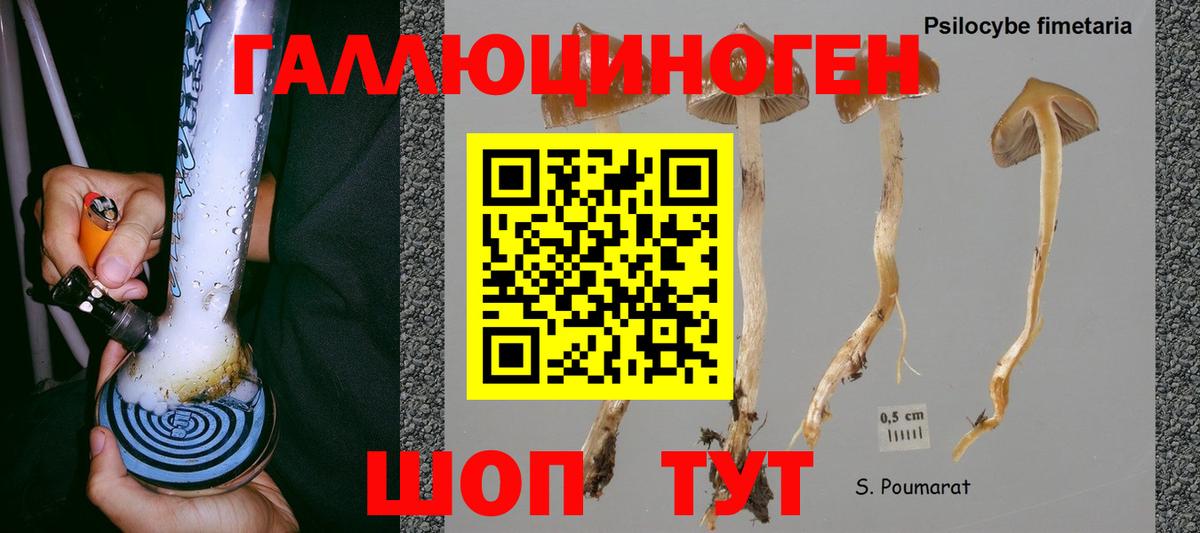 Анжеро-Судженск  Галлюциногенные грибы MAGIC MUSHROOMS  Вход с VPN 