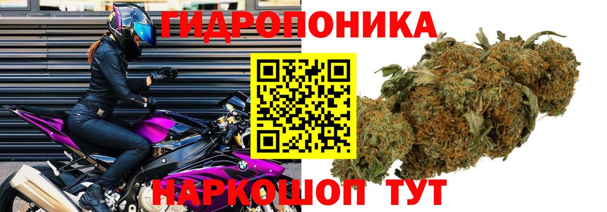 Марихуана SATIVA & INDICA  Бошки Шишки AK-47  Марихуана Ganja  Вход с VPN  Анжеро-Судженск 